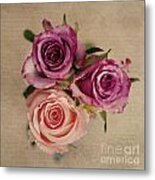 Trio Of Roses Metal Print