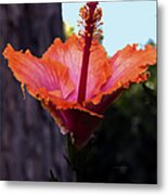 Tropical Beauty Metal Print