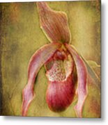 Tropical Enchantment Metal Print