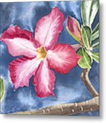 Tropical Flower Metal Print