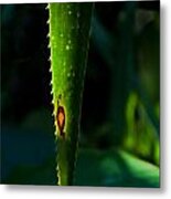 Tropical Menace Metal Print