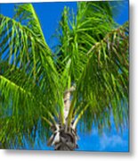 Tropical Palm Portrait Metal Print