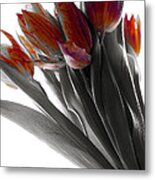Tulip Color Block Metal Print