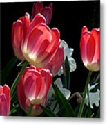 Tulips And Daffodils Metal Print
