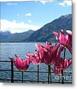 Tulips At Lake Geneva Metal Print