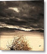 Tumbleweed Metal Print