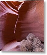 Tumbleweed In The Canyon Metal Print