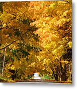 Tunnel Of Yellow Leaves Metal Print