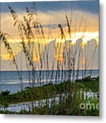 Turtle Nest Sunset Metal Print