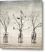 Twigs In Bottles Metal Print