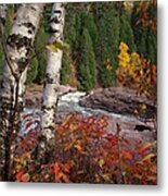 Twin Aspens Metal Print