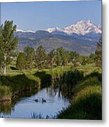 Twin Peaks View Metal Print