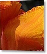 Twist Of Fate Metal Print