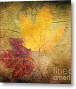 Two Autumn Leaves Metal Print