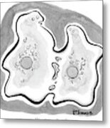 Two Cells Are Dividing/breaking Up Metal Print