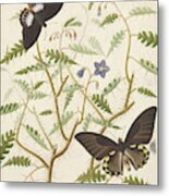Two Exotic Butterflies On A Blooming Bush Metal Print