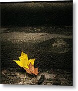 Two Leaves On A Staircase Metal Print