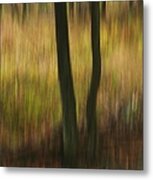 Two Leggs Metal Print