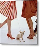Two Models With Dogs Metal Print