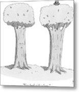 Two Trees With Faces Are Seen Next To Each Other Metal Print