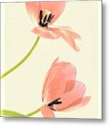 Two Tulips In Pink Transparency Metal Print