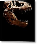 Tyrannosaurus Rex Skull 1 Metal Print