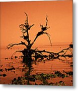 Unchanging Metal Print