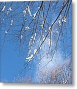 Under Snowy Branches 1 Metal Print