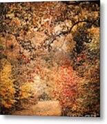 Under The Canopy Metal Print