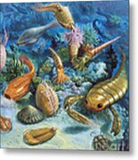 Underwater Life During The Paleozoic Metal Print