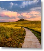 University Hill Metal Print