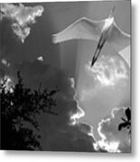 Up Up And Away Bw Metal Print