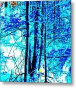 Upland Trail 2014 215 Metal Print