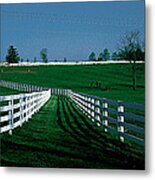 Usa, Kentucky, Lexington, Horse Farm Metal Print