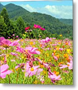 Valley Of Color Metal Print