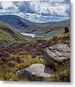 View From Ben Crom Metal Print