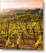 Vineyard At Chianti Region Hills On Metal Print