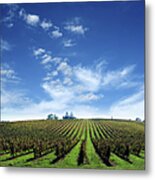 Vineyard Farm With Clouds Background - Metal Print