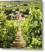 Vineyard With View On Burgundy Village Metal Print