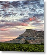 Vineyards And Mt Garfield Metal Print