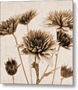 Vintage Bouquet Metal Print