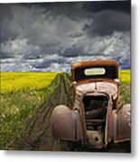 Vintage Chevy Pickup On A Dirt Path Through A Canola Field Metal Print