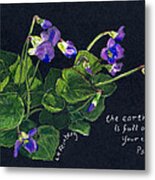 Violets And Psalm 104 Metal Print