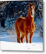 Waiting For Action Metal Print