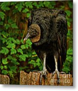 Waiting For Supper Metal Print