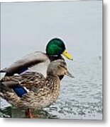 Waiting Out The Rain Metal Print