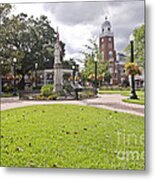 Walk In The Park Metal Print