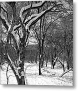 Walk In The Snow Metal Print