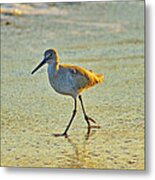 Walk On The Beach Metal Print