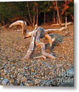 Walking On The Beach Metal Print